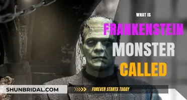 The Nameless Creation: Exploring Frankenstein's Monster's Identity