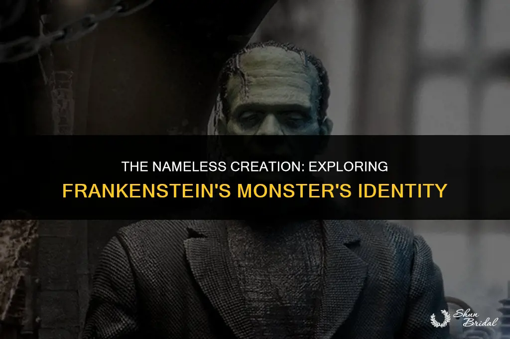 what is frankenstein