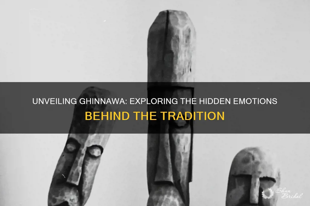 what is ghinnawa-veiled sentiments