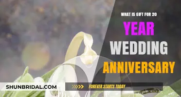 Celebrating Two Decades of Love: Perfect 20th Wedding Anniversary Gift Ideas