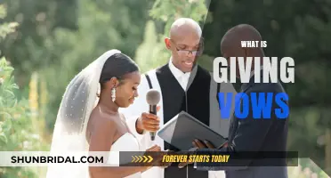 Understanding the Sacred Tradition of Giving Vows in Relationships
