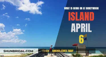 Honeymoon Island's April 6th Adventure: Unveiling the Mystery