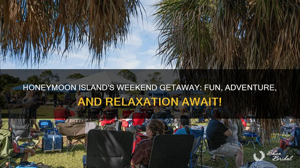 what is going on at honeymoon island this weekend