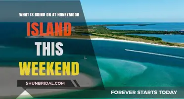 Honeymoon Island Weekend Buzz: Events, Activities, and Fun Ahead!