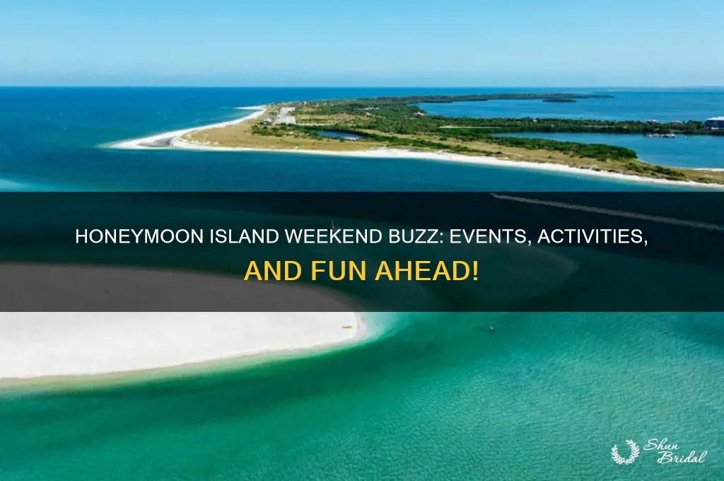 what is going on at honeymoon island this weekend