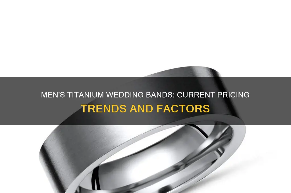 what is going price for mens titanium wedding band