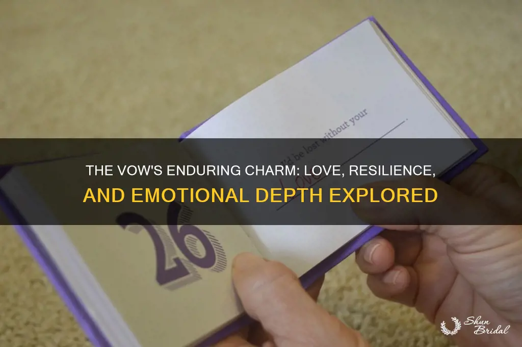 what is good about the vow