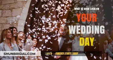Wedding Day Superstitions: Unlocking the Secrets of Good Luck and Love