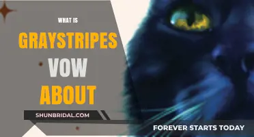 Understanding Graystripe's Vow: Themes, Characters, and Plot Explained