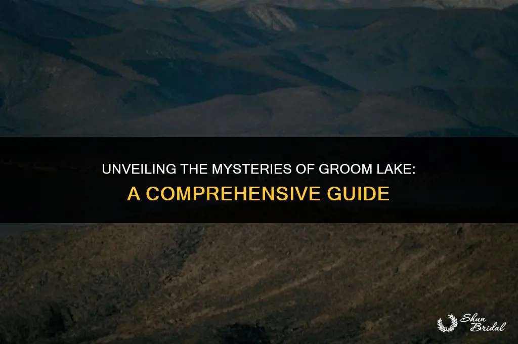 what is groom lake