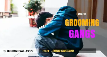 Understanding Grooming Gangs: A Comprehensive Guide to Awareness and Prevention