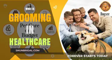 Understanding Grooming in Healthcare: A Comprehensive Guide