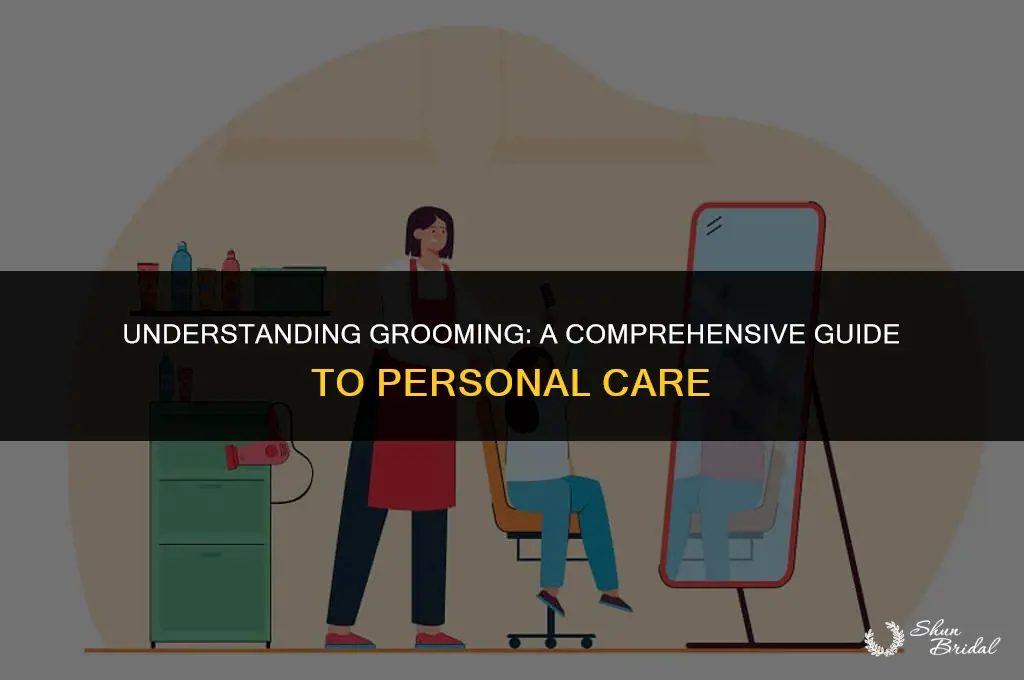 what is grooming of a person