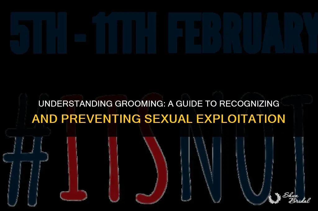 what is grooming sexually