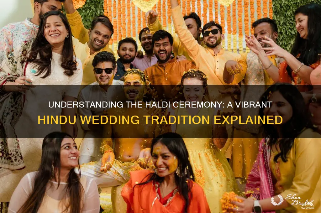 what is haldi ceremony in hindu wedding