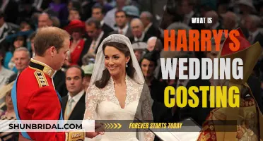 Harry's Wedding: The Multi-Million Dollar Affair