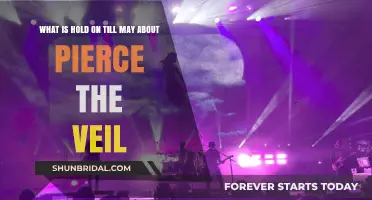 Hold On Till May: Unraveling Pierce the Veil's Emotional Anthem