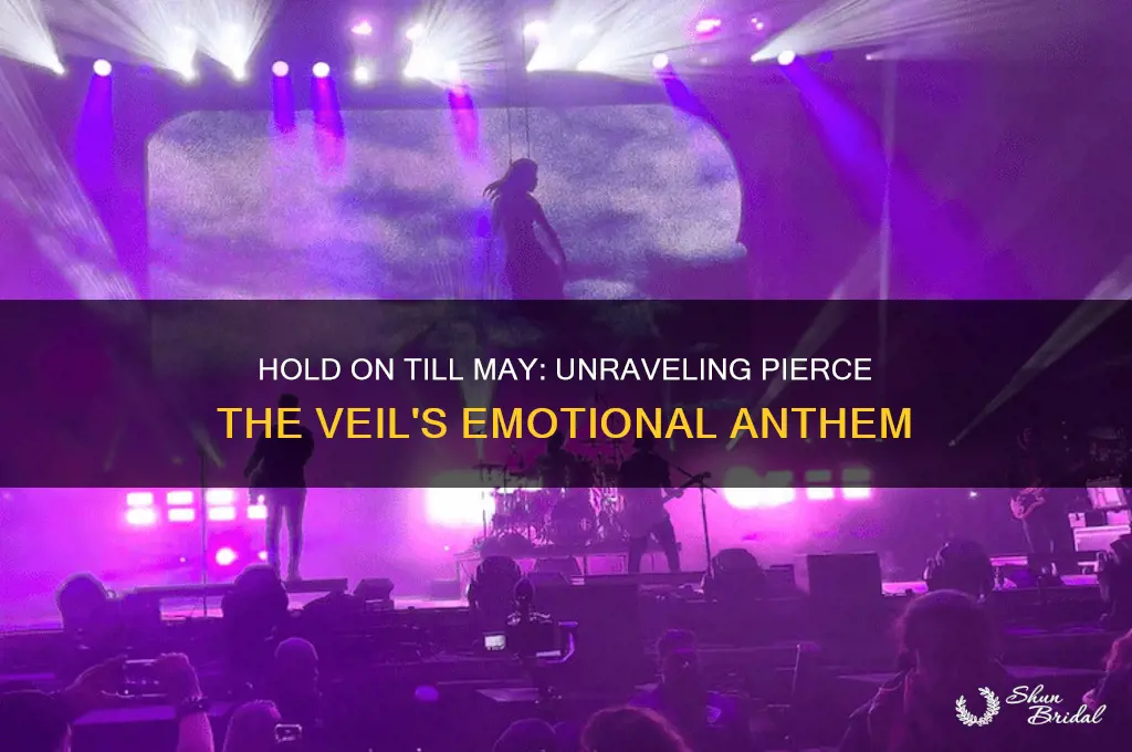 what is hold on till may about pierce the veil