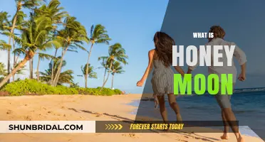 Exploring the Sweet Tradition: What is a Honeymoon?