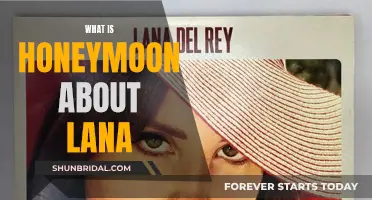 Honeymoon: Exploring the Allure of Lana's Music