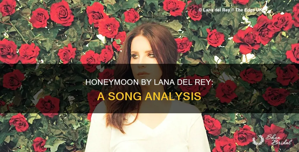 what is honeymoon by lana del rey about