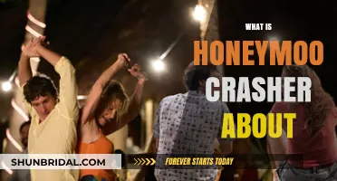 Unveiling the Intriguing Plot of Honeymoon Crasher: A Romantic Mystery Explored