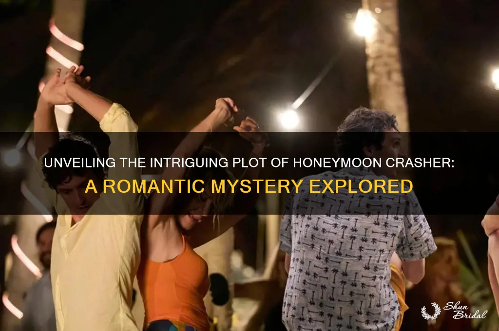 what is honeymoon crasher about
