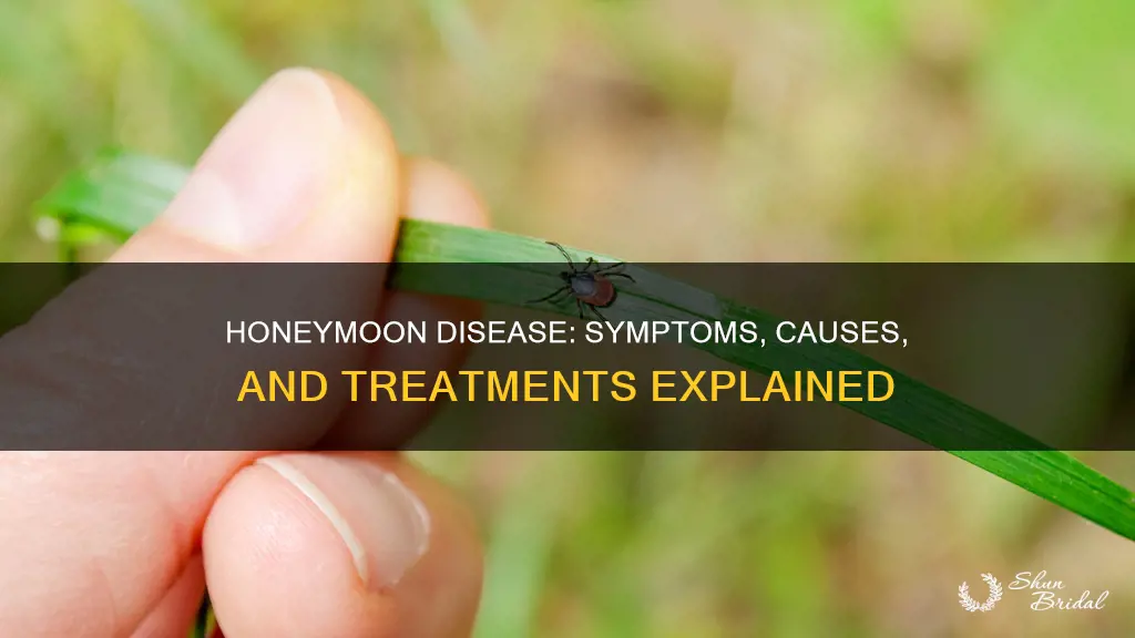 what is honeymoon disease
