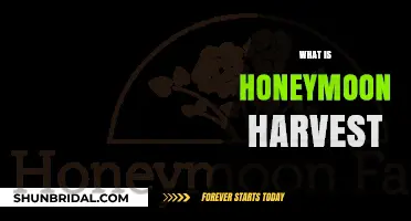 Honeymoon Harvest: Unveiling the Romantic Tradition of Newlywed Farming