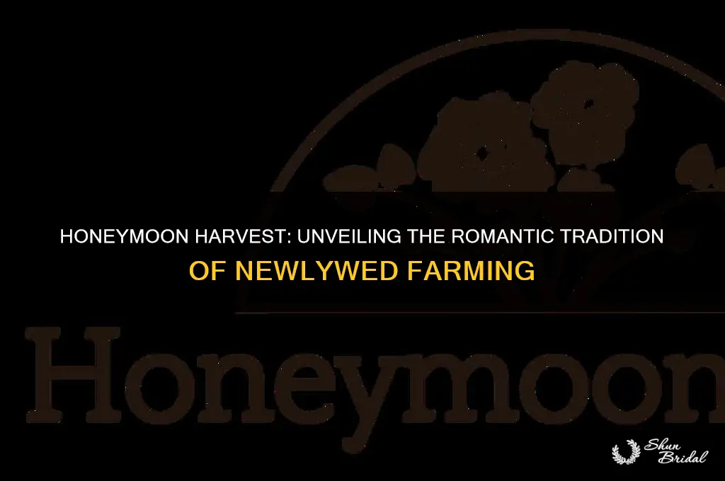 what is honeymoon harvest