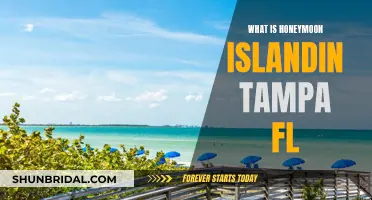 Honeymoon Island: Tampa's Tropical Paradise
