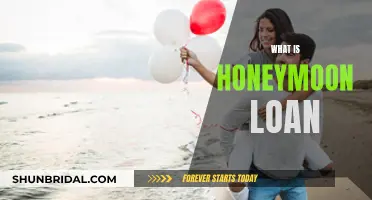 Honeymoon Loan: A Guide to Post-Wedding Financial Support