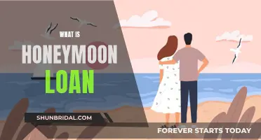 Honeymoon Loans: Low-Interest Rates for New Borrowers
