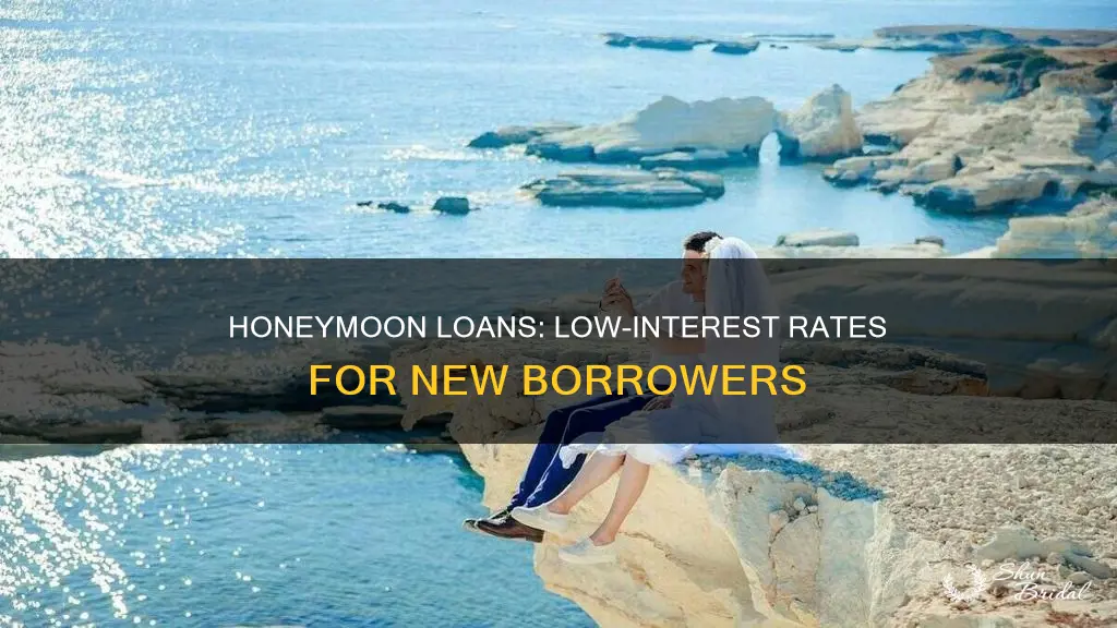 what is honeymoon loan