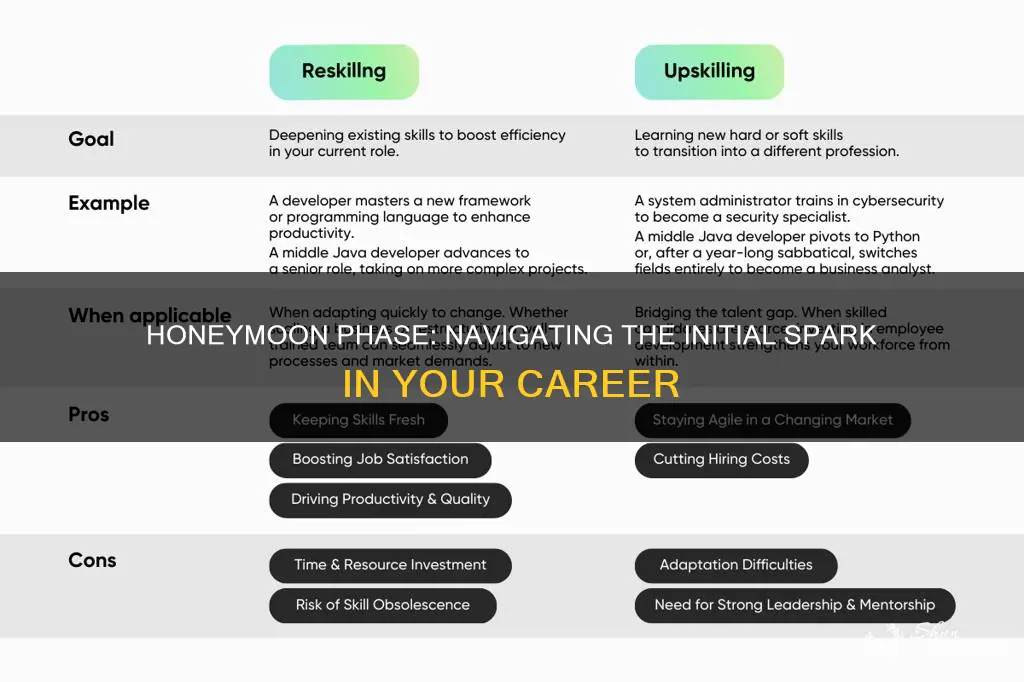 what is honeymoon period in job