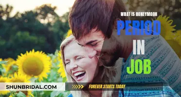 Understanding the Initial 'Honeymoon' Phase of a New Job