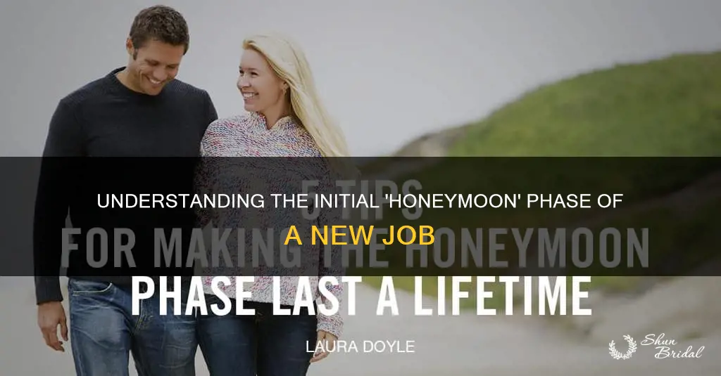 what is honeymoon period in job