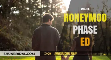 Understanding the Honeymoon Phase of Erectile Dysfunction: Causes and Solutions