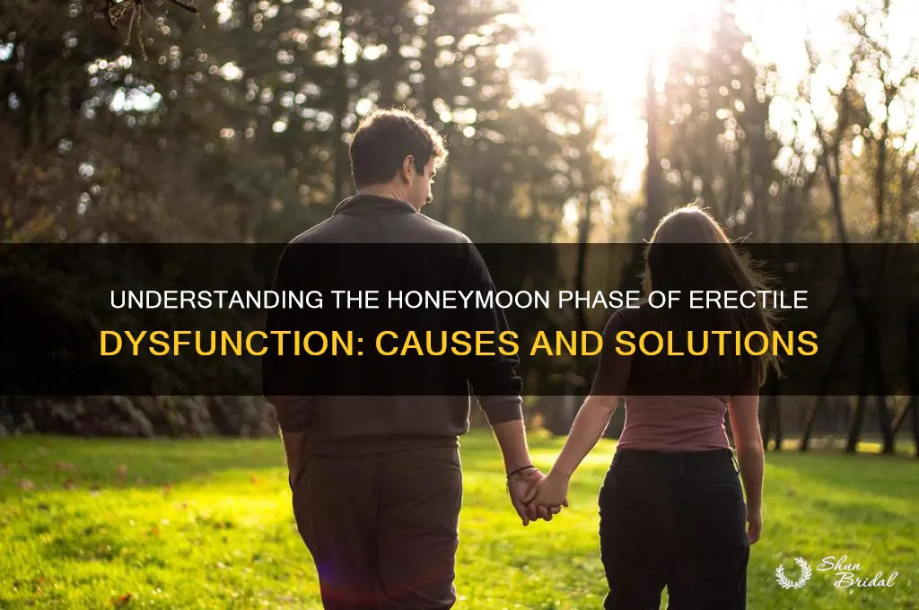 what is honeymoon phase ed