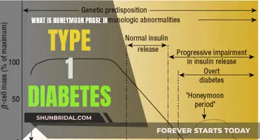 Honeymoon Phase: A Glucose-Regulating Bliss for Type 1 Diabetes?