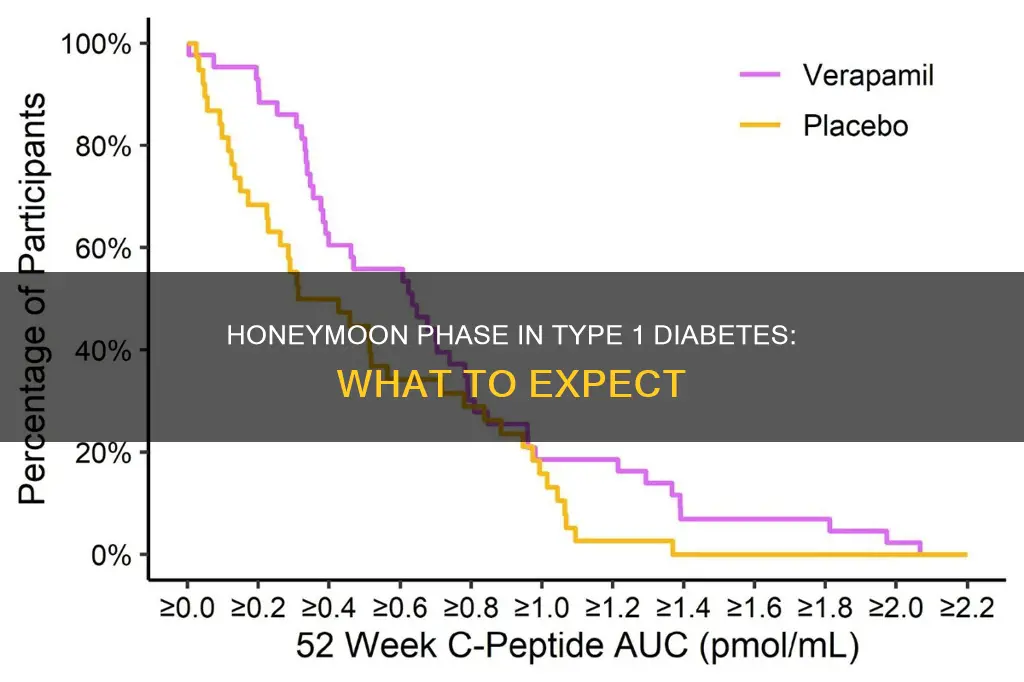 what is honeymoon phase in type 1 diabetes