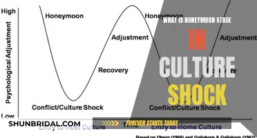 Honeymoon Stage: The Calm Before the Culture Shock Storm