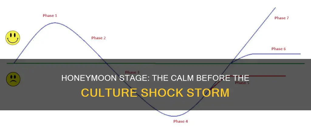 what is honeymoon stage in culture shock
