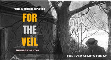 Hooper's Intriguing Explanation for the Veil: Unveiling the Mystery