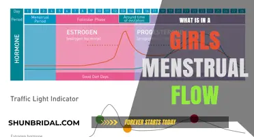 Understanding Menstrual Flow: Composition, Changes, and What's Normal for Girls