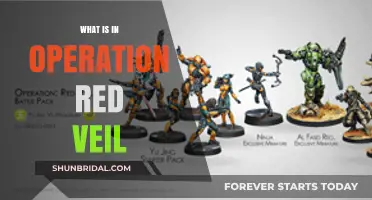 Unveiling Operation Red Veil: Secrets, Strategies, and Global Implications