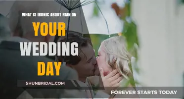 Rain on Your Wedding Day: The Unexpected Ironic Twist Explained
