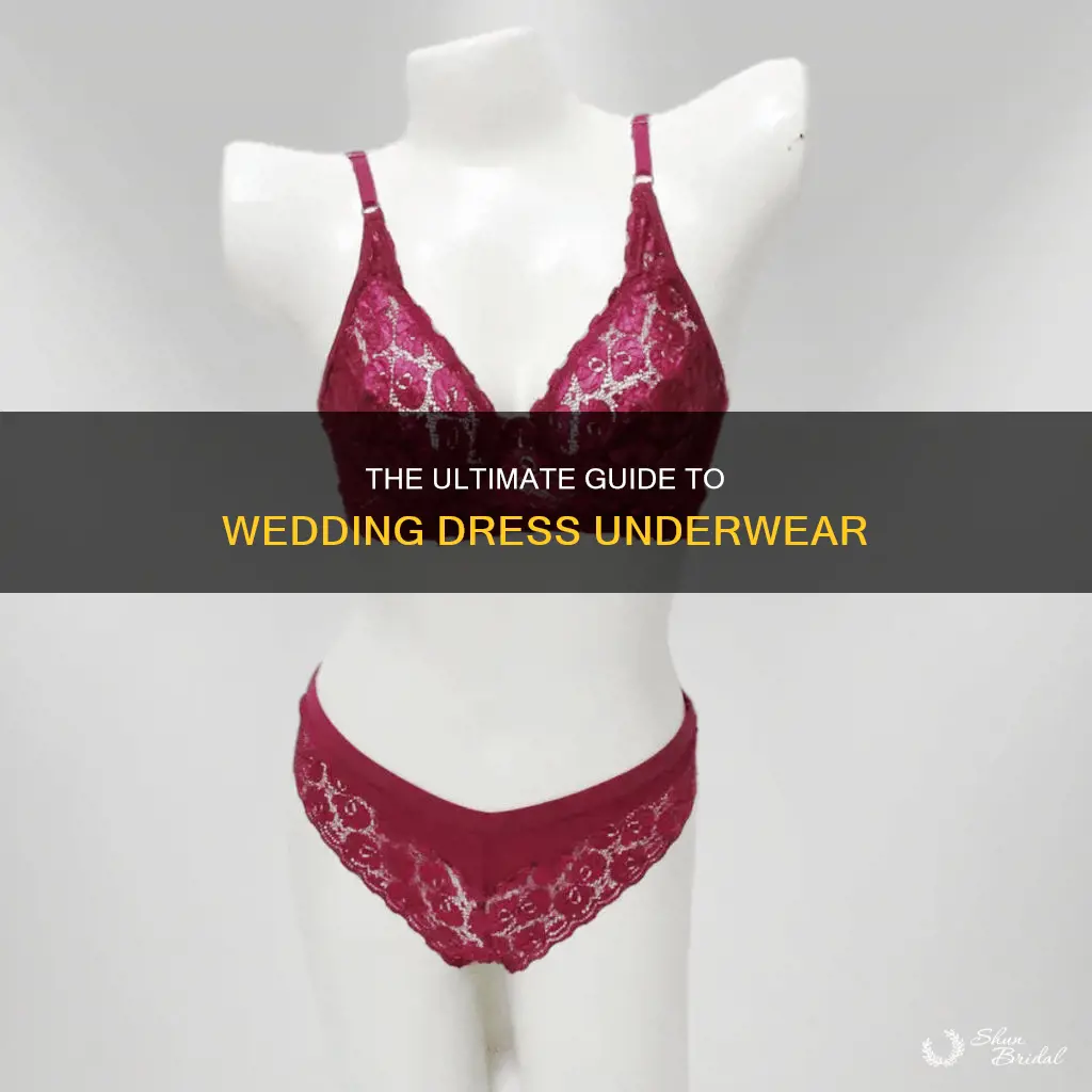 what is it called that is wear under wedding dress