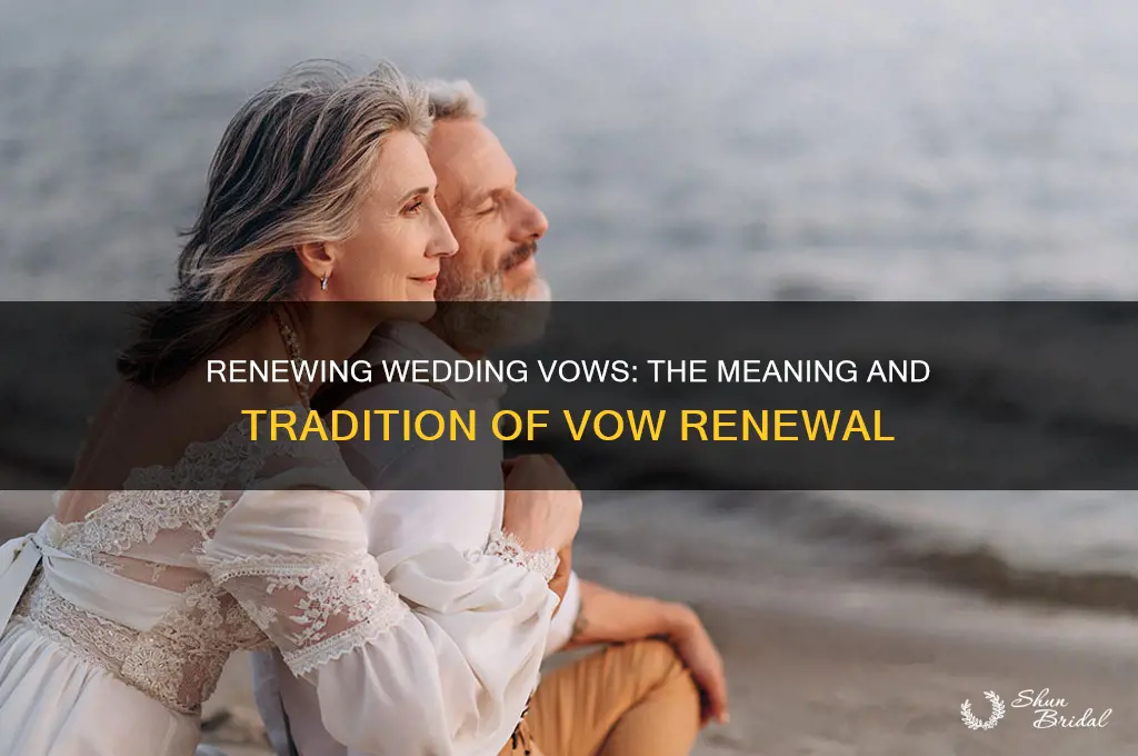 what is it called when you renew wedding vows