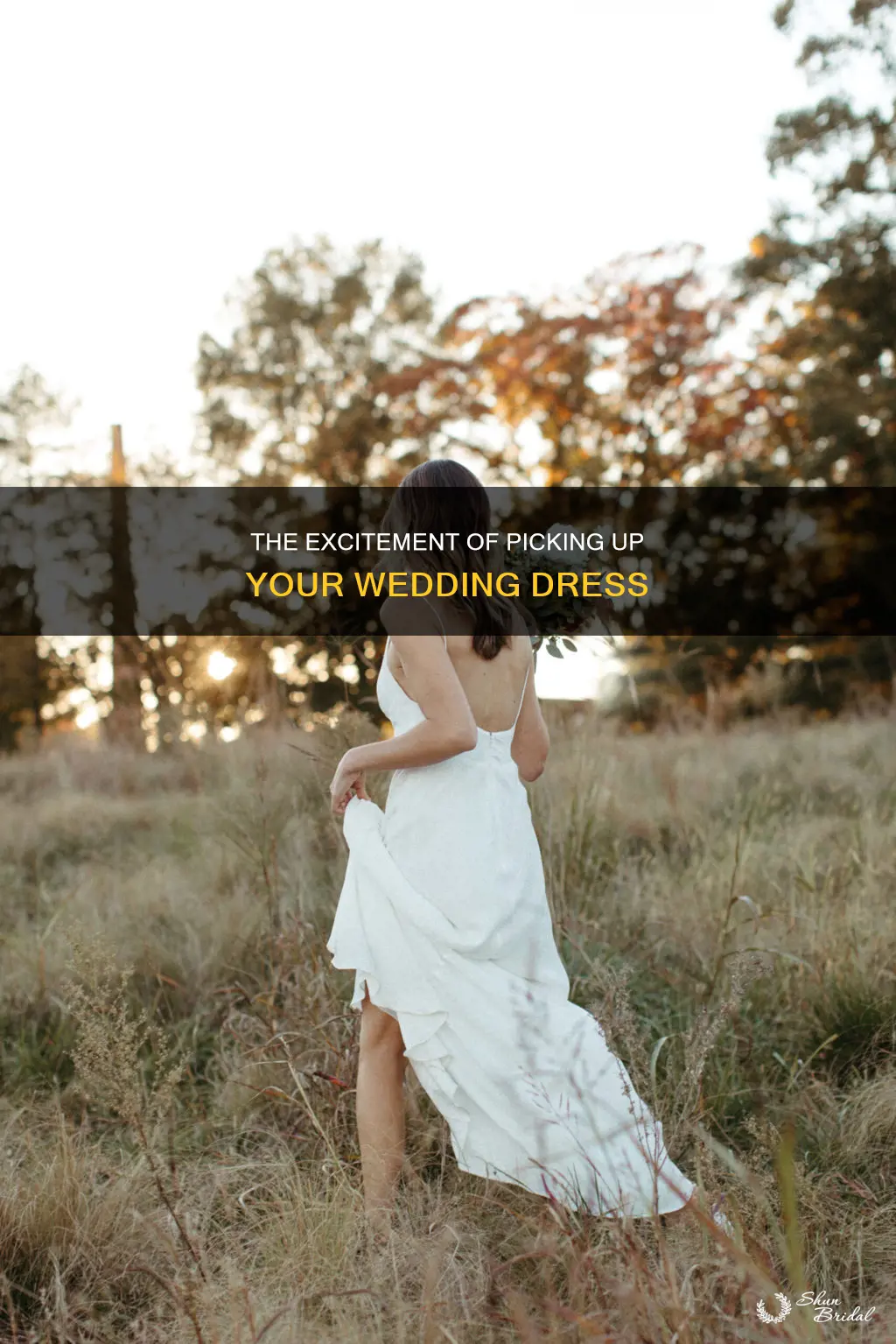 what is it like to pick up your wedding dress